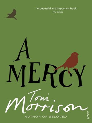 cover image of A Mercy